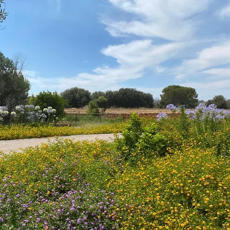Casa Agricola Anna Κατάλυμα σε φάρμα