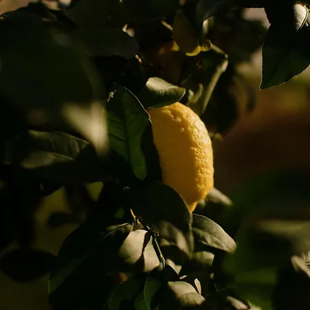 Casa Agricola Anna Κατάλυμα σε φάρμα *