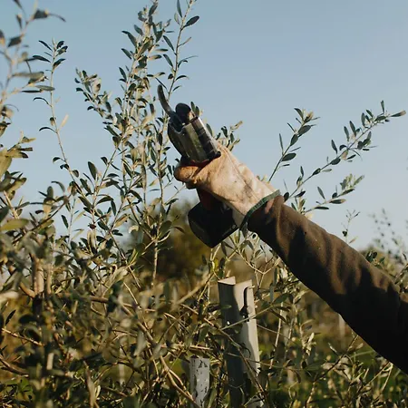 Κατάλυμα σε φάρμα Casa Agricola Anna *