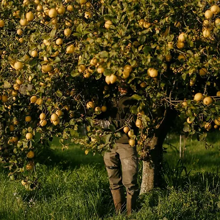 Κατάλυμα σε φάρμα Casa Agricola Anna Gallipoli